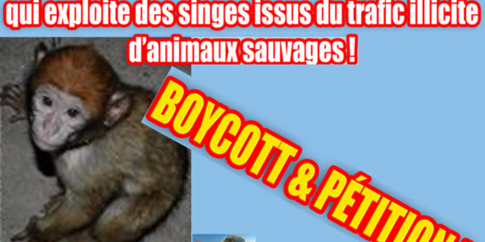 boycott image